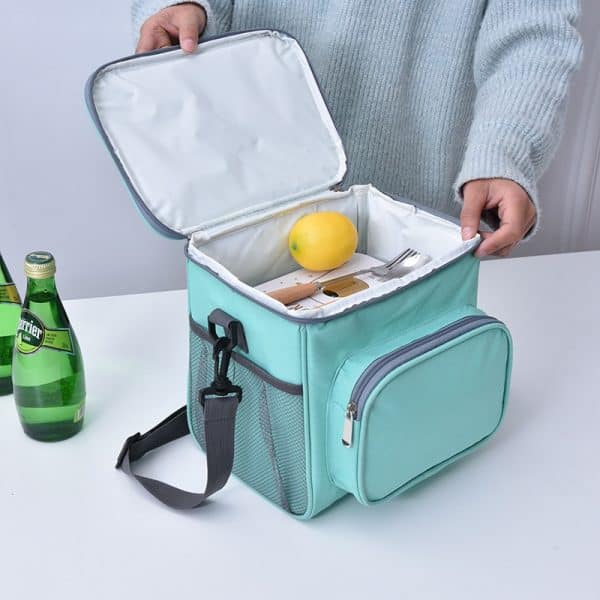 Borsa frigo